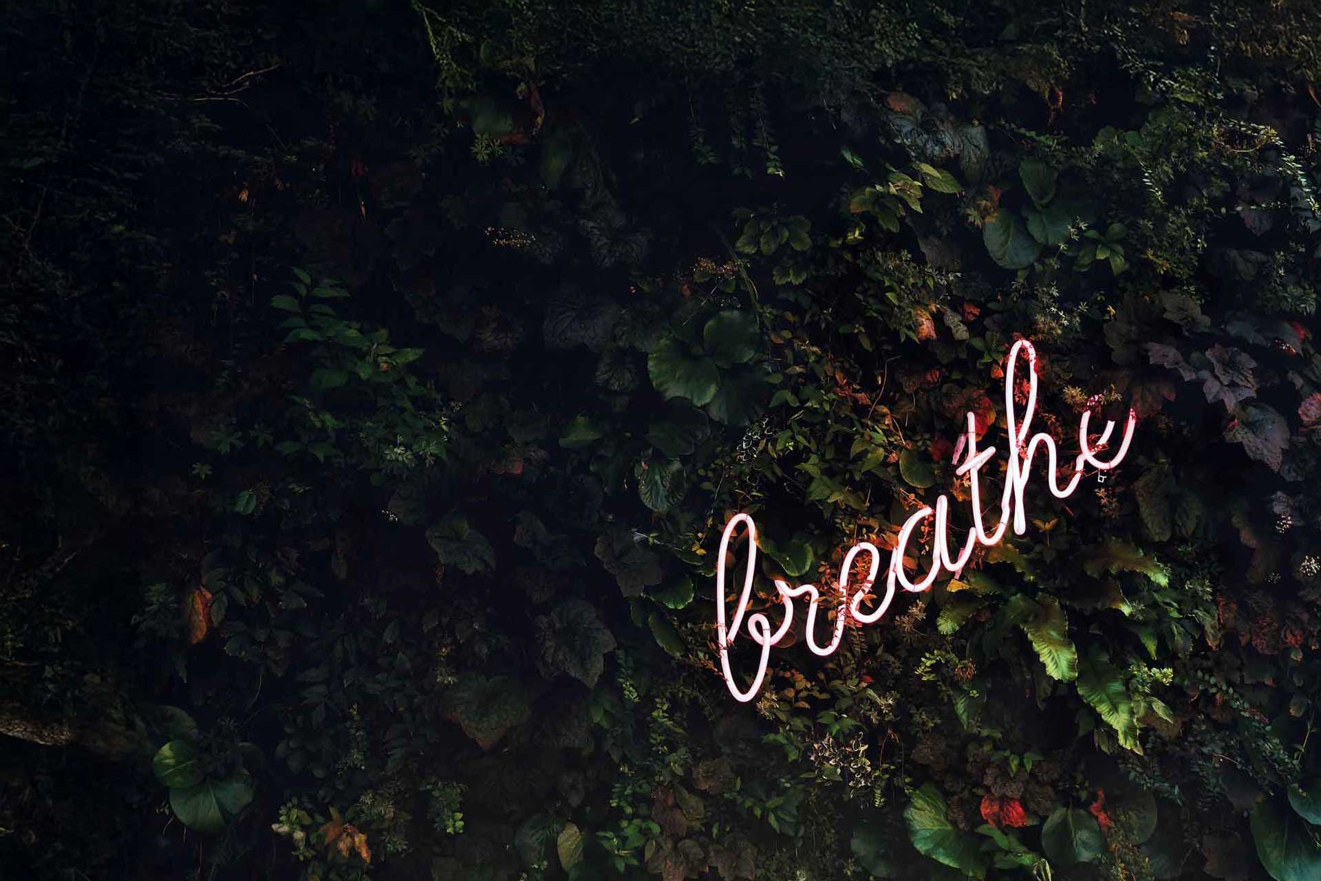 Health and Wellness Marketing Services
