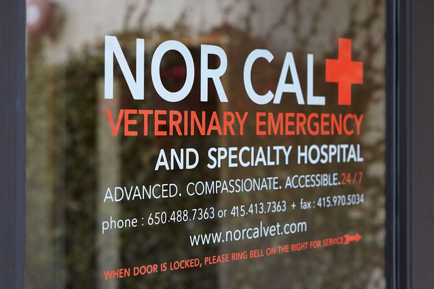 NorCalVet: Welcome
