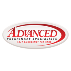 Advanced Veterinary Specialists