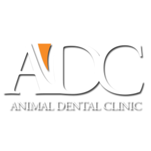 Animal Dental Clinic