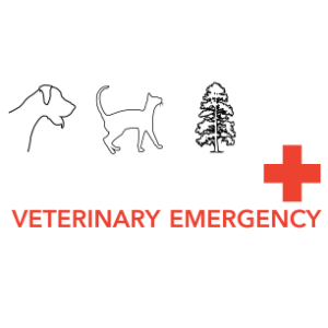 Nor Cal Veterinary Emergency + Specialty Hospital