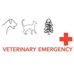Nor Cal Veterinary Emergency + Specialty Hospital